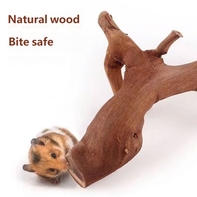 Small Pet Enrichment Branch, Natural Vine Cage Decor for Hamsters ...