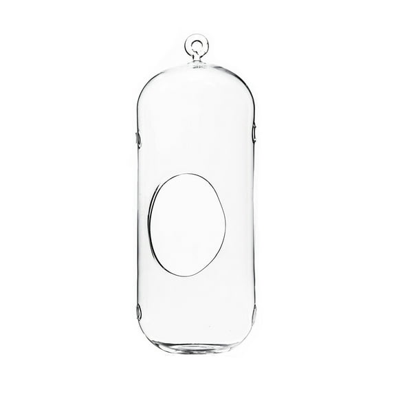 WGV Clear Cylindrical Hanging Glass Terrarium with Holes / Candle Holder - 5" Wide x 13" Height, Good quality Terrarium - 1 Pc