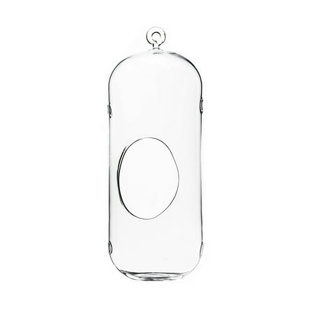 WGV Clear Cylindrical Hanging Glass Terrarium with Holes / Candle Holder - 5" Wide x 13" Height, Good quality Terrarium - 1 Pc