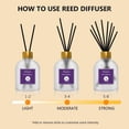 thumbnail image 5 of Lavender Reed Diffuser Sets,6.7fl oz(200ml) with 8 Sticks,Fragrance/Aromatherapy for Livingroom/Office/Kitchen/Entryway/Bathroom,Gift Set,Shelf Decor,Home Accessories,Air Freshener (Lavender), 5 of 6