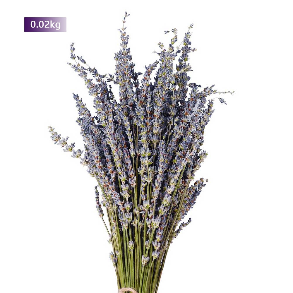 Beautiful Natural Bunch Dried Lavender Flower Bouquet Home Wedding Party Decor 