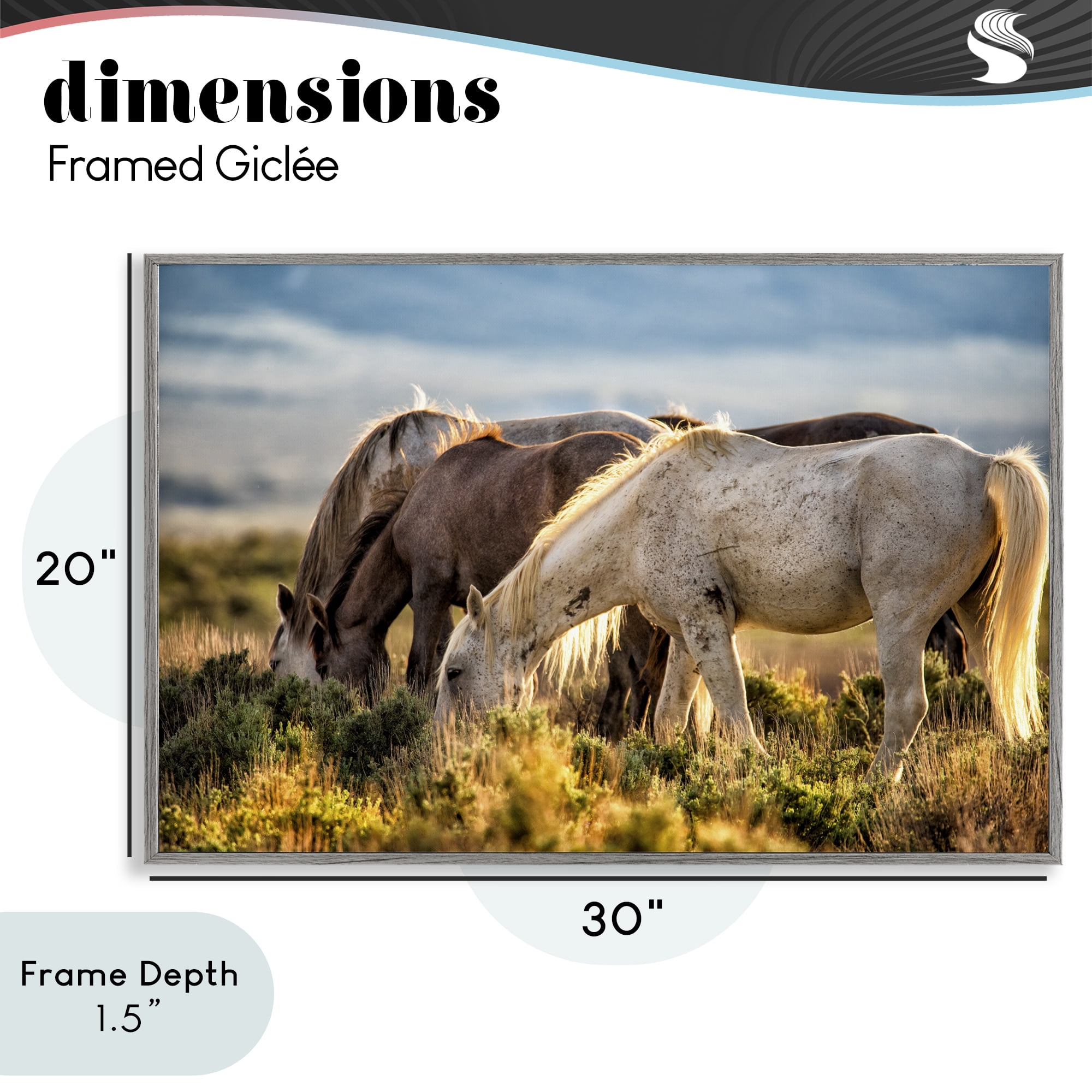 Stupell Industries Equine Evening Graze Gray Framed Giclee Art, design by Tim West