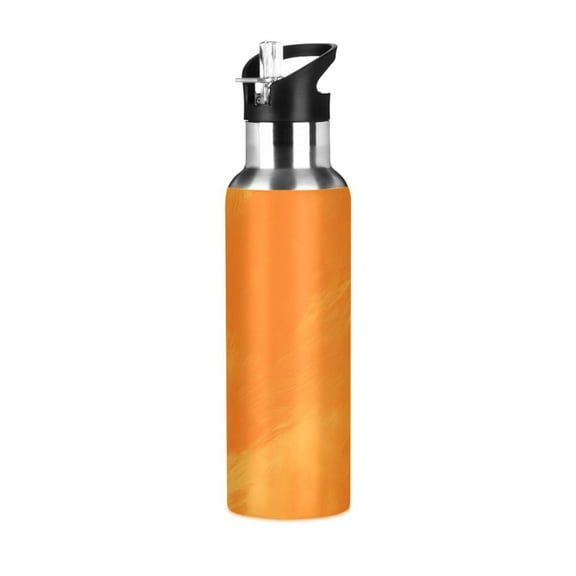 ALAZA Orange Oil Pattern Water Bottle Insulated Flask Stainless Steel Straw Lid 20 oz