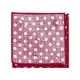 thumbnail image 4 of Juego de corbatas con pañuelo de bolsillo de lunares INSPIRE CHIC para hombres con corbata de lazo para traje de negocios, 4 of 6