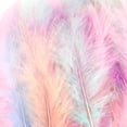 thumbnail image 7 of 400 Pieces 4 Styles Colorful Marabou Feathers, Goose Feathers in Bright Colors for DIY Craft Dream Catchers Wedding Home Party Decorations, 7 of 7