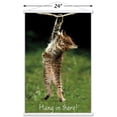 thumbnail image 3 of Famous Kitten Hang In There Poster Wall Poster with Magnetic Frame, 22.375" x 34", 3 of 6