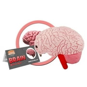 GIANTmicrobes Brain Organ Plush -Anatomical Organ Toy, Get Well Gift for Post-Surgery, Educational Biology Gift, Great tool for Educators, Excellent Gift for Doctors, Nurses, Teachers, and Scientists