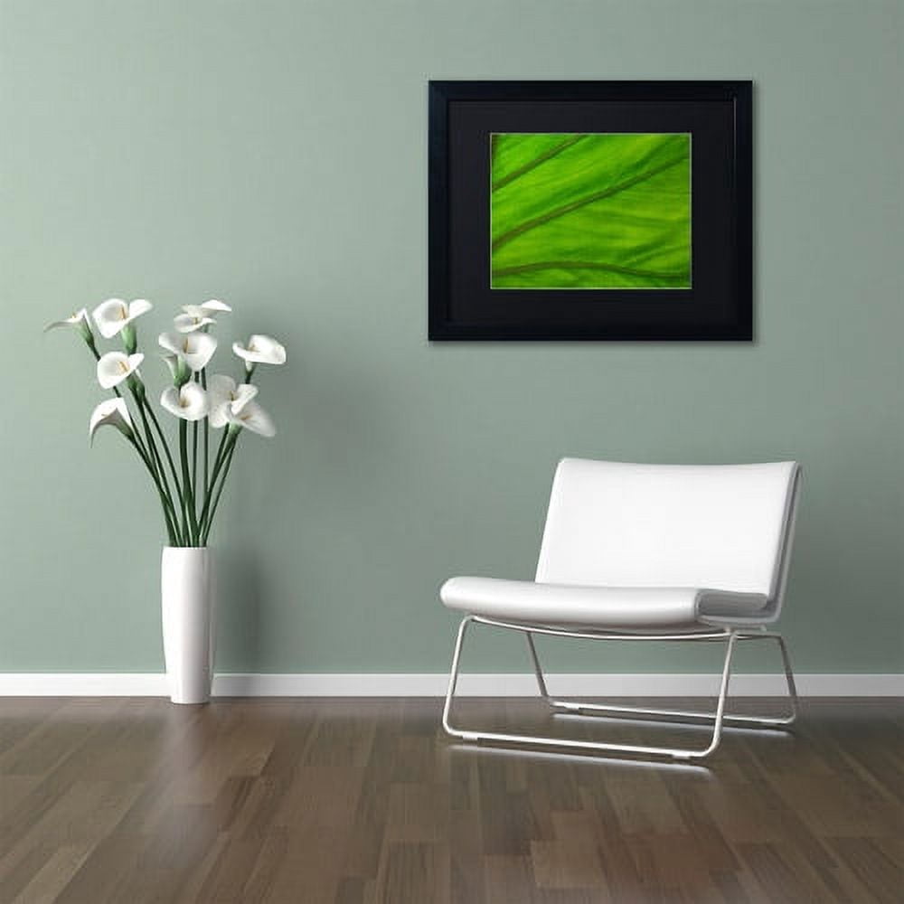 Trademark Fine Art "Green Elephant Ear Abstract" Canvas Art by Kurt Shaffer Black Matte, Black Frame
