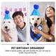 thumbnail image 3 of KAKOWELY Sombrero y babero decorativos para fiesta de cumpleaños de perro, disfraz de cumpleaños para mascota (azul), 3 of 4