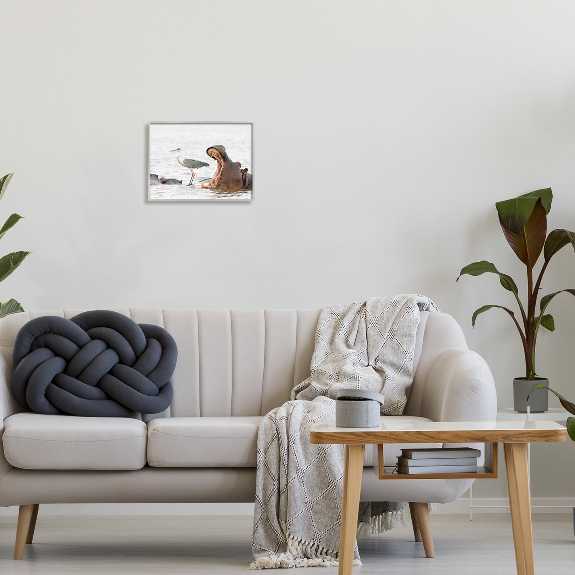 Stupell Industries Hippo & Heron Photography Animals & Insects Photography Gray Framed Art Print Wall Art, 14 x 11