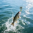 thumbnail image 6 of SHENGLUO Floating Sea Urchin Soft Lure 3D Eyes Lifelike Creature Bait For Bass Fishing Freshwater And Saltwater Realistic Texture With Razor Sharp Hooks, 6 of 10