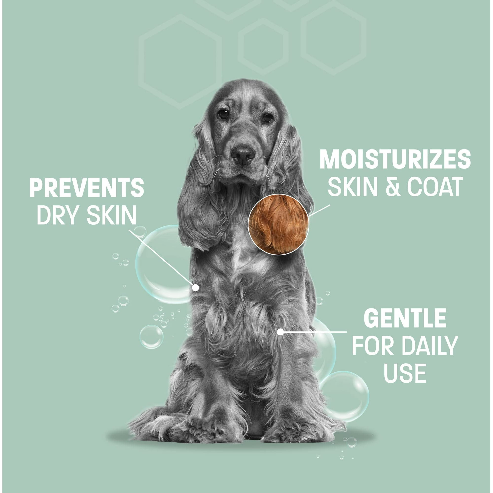 Gentle Aloe Oatmeal Dog Shampoo Soothes Allergies Itching Hydrating Soap Free Formula 16 oz