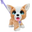 Little Live Pets Cozy Dozy Cubbles the Bear - Interactive Toy with Over ...