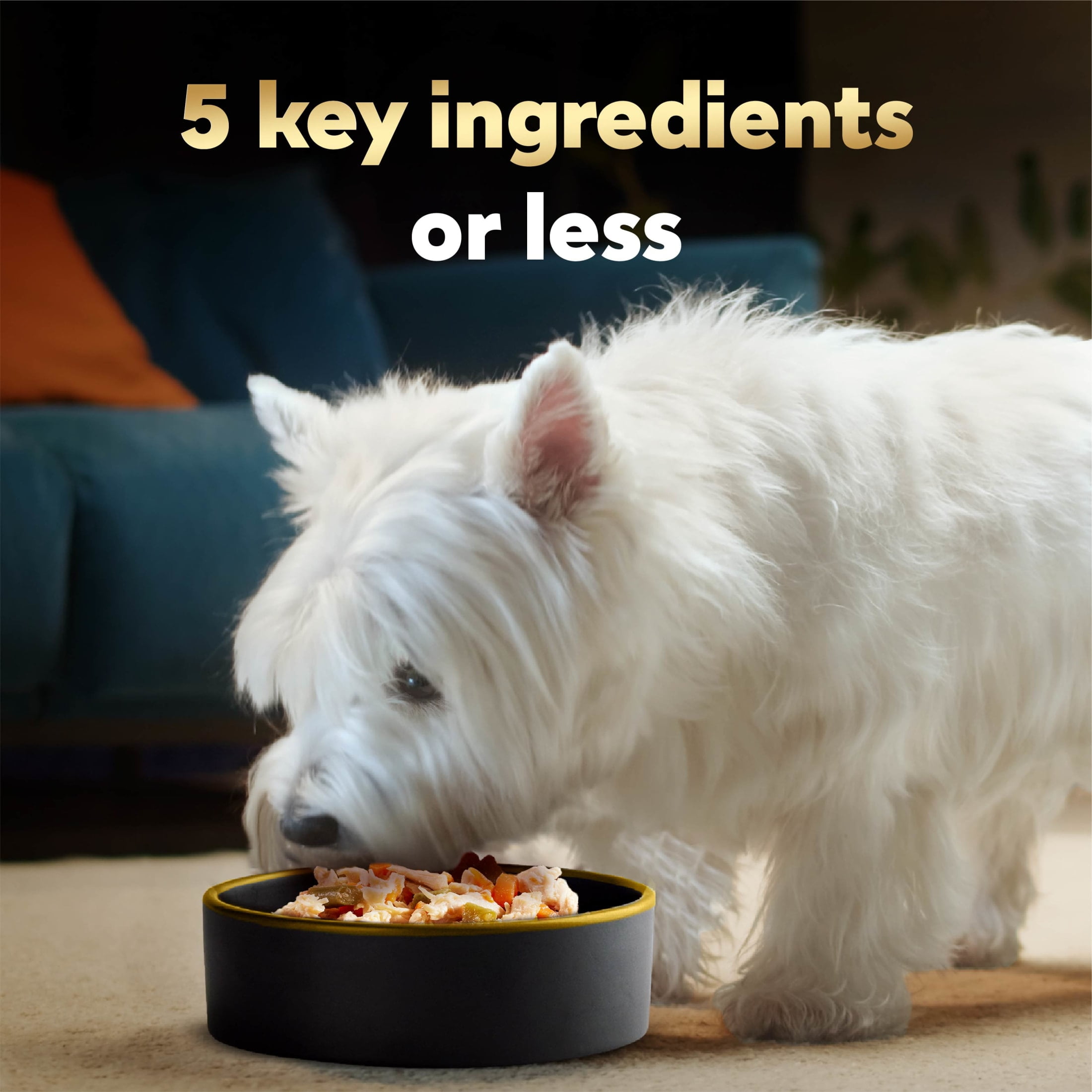Cesar Simply Crafted Chicken and Vegetables Adult Wet Dog Food Meal Topper, 1.3 oz Tub