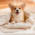 thumbnail image 6 of Waterproof Dog Blanket For Couch: Spill-proof Puppy Blankets Small Medium Dogs Washable  Reversible Soft Flannel Pet Throw Bed Crate Couch Sofa Cover Travel 30" X 40" Beige, 6 of 7