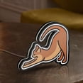 thumbnail image 3 of Happy Cat 3D Novelty Light Box, Kitty Lamp Decor for Pet Lovers, Stretching Cat Fans and Animal Room Display (Height 20 inch, 50cm), 3 of 9
