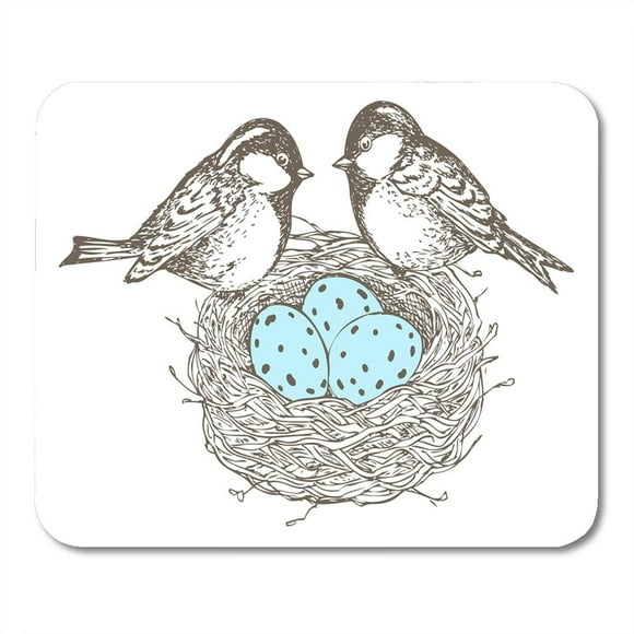 POGLIP Nest Eggs and Birds are Separate Groups All Fills Mousepad Mouse Pad Mouse Mat 9x10 inch