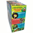 thumbnail image 5 of Toys By Nature: Carnivorous Creatures - DIY Biosphere Terrarium Starter Kit, Grow Meat-Eating Plants, Create Your Own Carnivorous Bog, Adults-Kids 4+, 5 of 7