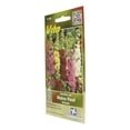 thumbnail image 2 of Semillas Malva Real 0.5G Multicolor Vita Vita, 2 of 3