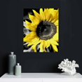 thumbnail image 4 of COMIO  Sunflowers Canvas Wall Art Yellow Flowers Pictures Modern Florals Black and White Painting Framed for Bathroom Bedroom Kitchen Dinning Room Living Room Home Office Wall Décor,, 4 of 4