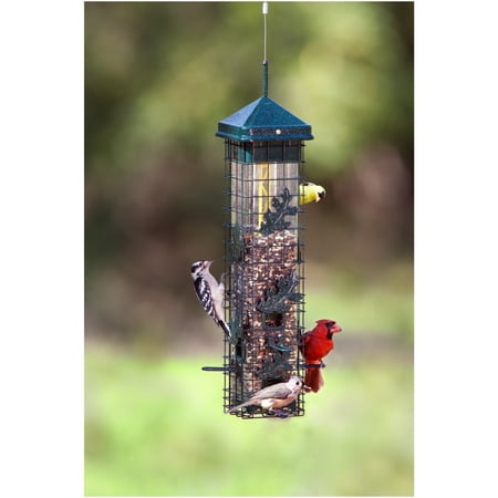 Squirrel-Proof Bird Feeder - Walmart.com