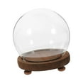 thumbnail image 1 of Clear Glass Display Case Terrarium ,Wooden Base Decorative, Empty Glass Dome for 18cm, 1 of 8