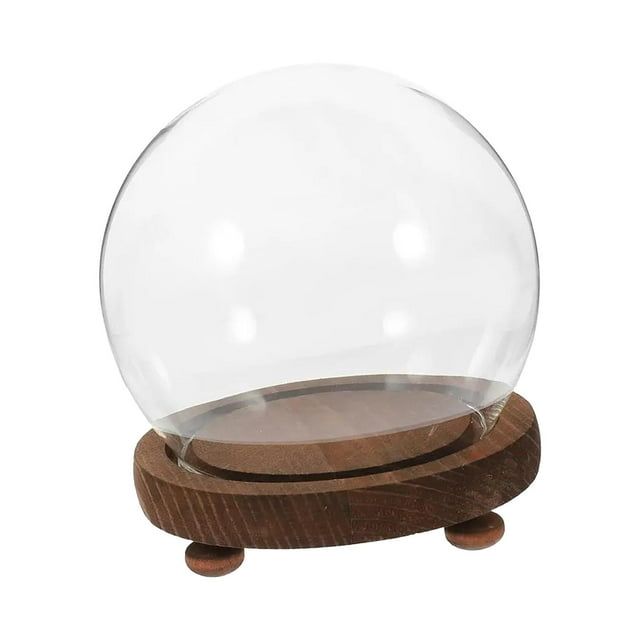 Clear Glass Dome Plant Flower Display Sphere with Base Micro Landscape Terrarium 18cm