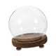 thumbnail image 1 of Vitrina de cristal transparente para terrario, base de madera decorativa, cúpula de cristal vacía para fotos, medallas, decoración del hogar, sala de 18 cm BLESIY Vitrina de cúpula, 1 of 8