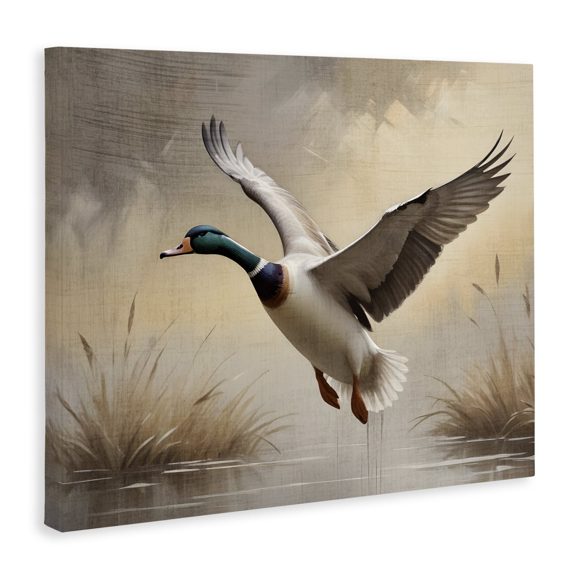 Stupell Industries Gliding Mallard over Wetlands Canvas Wall Art, design by Susan Arnot