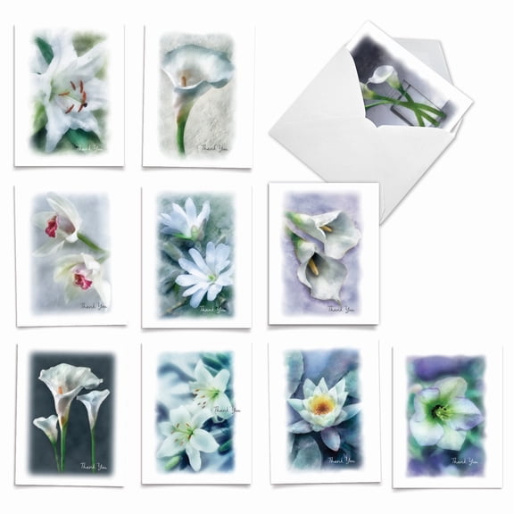 10 Sympathy  Note Cards Pack (4 x 5.12 Inch) - Blooming Memories M6598STG-B1x10