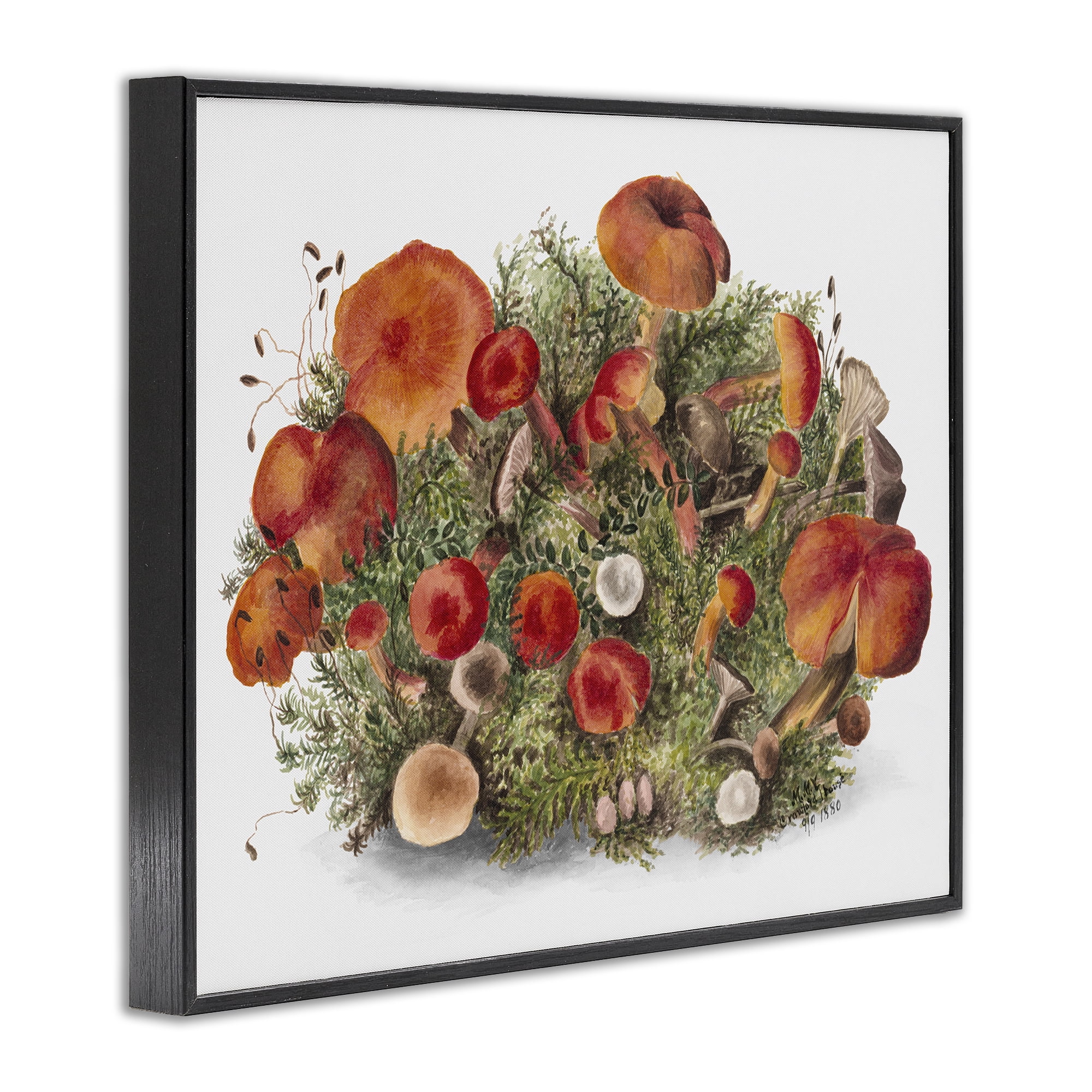 Stupell Industries Rustic Cottage Mushrooms Botanical & Floral Painting Black Framed Art Print Wall Art, 14 x 11
