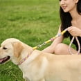 thumbnail image 2 of Hand Woven 4-Strand Dog Leash with Flower Charm, 120cm Anti-Pull Training Rope, Cute Colorful Cotton Blend Lead for Medium & Large Dogs, 2 of 5