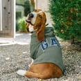 thumbnail image 3 of Gap Pet, Dog Clothes, Green Classic Pet Hoodie, 3 of 7