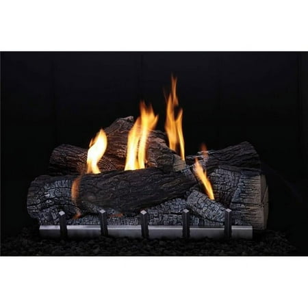 

24 in. Millivolt Harmony Burner