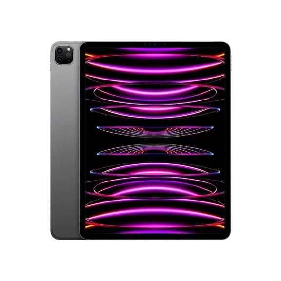 Reacondicionado Apple iPad Pro 12.9" (6th Gen) A2764 (WiFi + Cellular Desbloqueado) 256GB Gris Espacial (Grado A+)