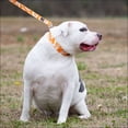thumbnail image 3 of Country Brook Petz® Orange Hawaiian Everyday Dog Collar, Extra Small, 3 of 7