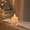 B, variant on LED Flameless Candle, 1.5 x 3.11-Inch Battery-Operated Flickering Plastic Tea Light for Wedding and Home, Style E
