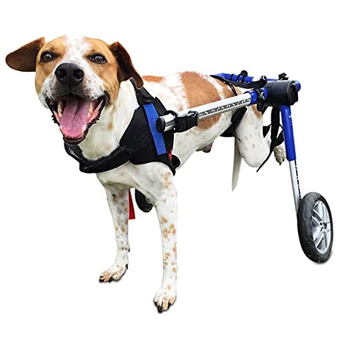 Walkin' Wheels Dog Wheelchair - Vet Approved - Medium Dogs 26 - 49 lbs