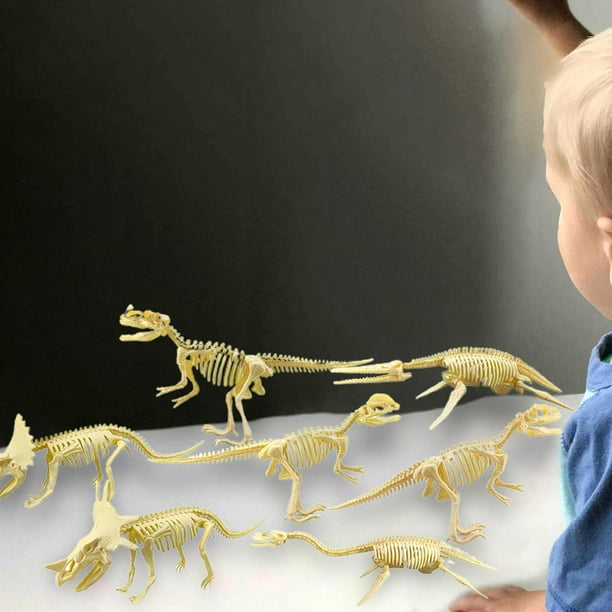 Modelos de Esqueleto de Dinosaurio Hugo Triceratops Tiranosaurio Fósiles de Dinosaurio