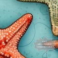 thumbnail image 3 of Starfish Breathable Chiffon Yarn Silk Scarf 180*73 - Light Translucent Shawl Wrap 28.7x70.86in, 3 of 6