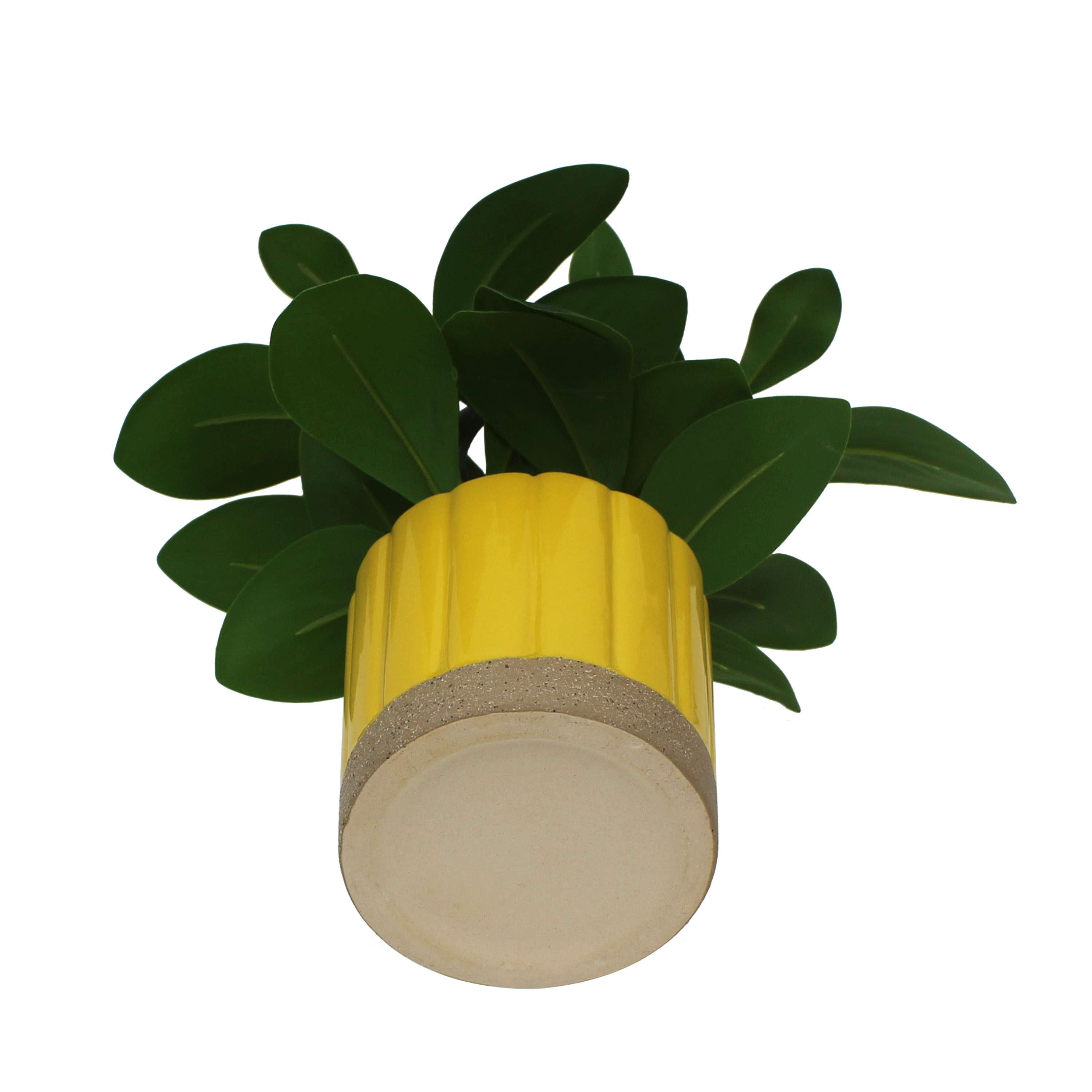 Mainstays by Becky G. & Alejandra 8 in Artificial Peperomia in Yellow Two-Tone Ribbed Ceramic Pot