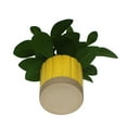 thumbnail image 5 of Mainstays by Becky G. & Alejandra 8" Artificial Peperomia in Yellow Two-Tone Ribbed Ceramic Pot, 5 of 9