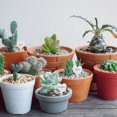 thumbnail image 4 of unbranded 50Ud Marcadores De Plantas En Inoxidable Plateado Para Identificación En Jardinería, 4 of 8