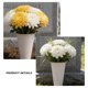 thumbnail image 3 of TABLETREANDS 8Ud Florero Plástico Para Lápidas Con Estable Para Mantener Flores Decorativas Erectas, 3 of 7