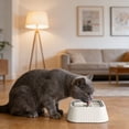 thumbnail image 4 of TIELUTT Floating Water Bowl Portable Drinking Tray for Not Easy To Spill, 4 of 5