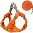 thumbnail image 1 of ORUYROP No Pull Dog Harness with Leash Pet Soft Vest Harness and Leash Set Dog Cat No Choke Escape Proof Harness Reflective Step in Harness for Small Medium Dogs Cats (Large, Orange), 1 of 6