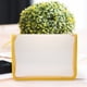 thumbnail image 3 of Transparent Twill Zipper Bag Folder A4 Data Zipper Bag File Organizer Bag, 3 of 5
