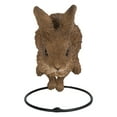 thumbnail image 7 of Hi-Line Gift Ltd. Hare Cub Jumping Statue, 7 of 7