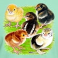 thumbnail image 3 of CafePress - Five Chicks Dark T Shirt - Men's Classic Graphic Cotton T-Shirt, 3 of 4