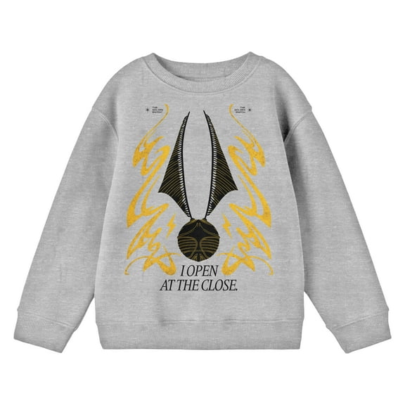 Harry Potter I Open At The Close Youth Boys Athletic Heather Gray Long Sleeve Sweatshirt-Large